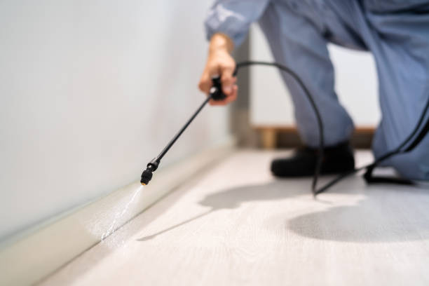 Bed Bug Pre-Treatment Preparation Assessment in Lake Katrine