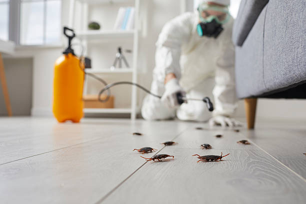 Post-Treatment Bed Bug Interceptor Monitoring in Lake Katrine