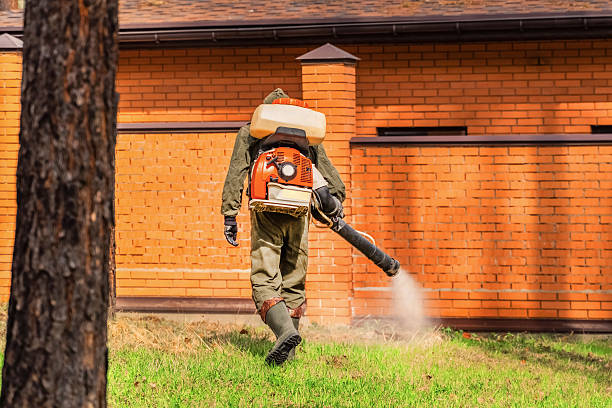 Bed Bug Clearance Verification and Documentation in Lake Katrine